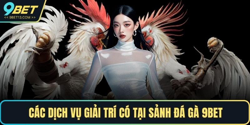 Đá Gà 9BET - Điểm Đến Giải Trí Trực Tuyến Không Thể Bỏ Qua 4 Các dịch vụ giải trí có tại sảnh Đá Gà 9BET