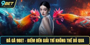Đá Gà 9BET