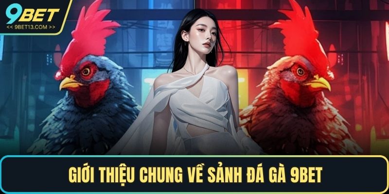Đá Gà 9BET - Điểm Đến Giải Trí Trực Tuyến Không Thể Bỏ Qua 2 Giới thiệu chung về sảnh Đá Gà 9BET