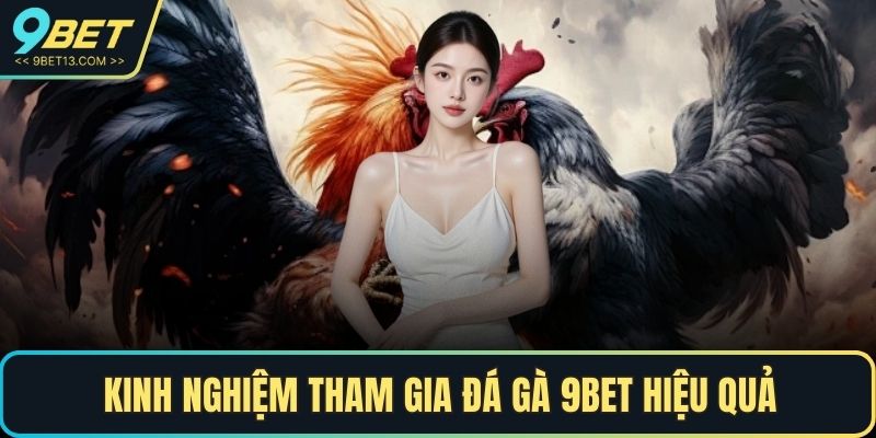 Đá Gà 9BET - Điểm Đến Giải Trí Trực Tuyến Không Thể Bỏ Qua 5 Kinh nghiệm tham gia Đá Gà 9BET hiệu quả
